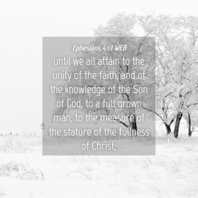 Picture 04 - Ephesians 4:13 WEB - until we all attain to the unity of the faith, - Bible Verse Picture