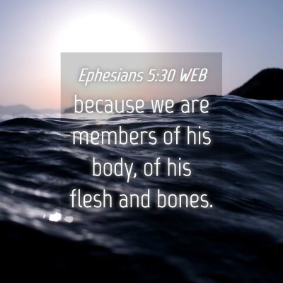 Picture 04 - Ephesians 5:30 WEB - because we are members of his body, of his flesh - Bible Verse Picture