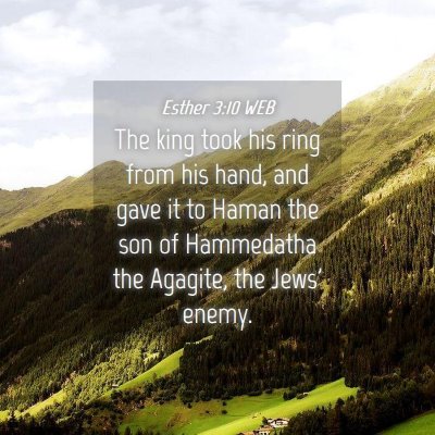 Picture 04 - Esther 3:10 WEB - The king took his ring from his hand, and gave it - Bible Verse Picture