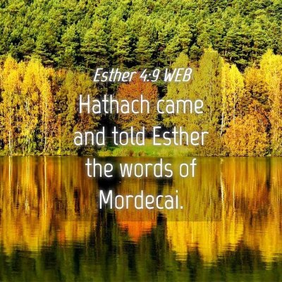 Picture 04 - Esther 4:9 WEB - Hathach came and told Esther the words of - Bible Verse Picture