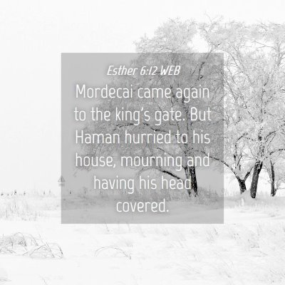 Picture 04 - Esther 6:12 WEB - Mordecai came again to the king's gate. But Haman - Bible Verse Picture