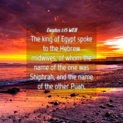 Picture 04 - Exodus 1:15 WEB - The king of Egypt spoke to the Hebrew midwives, - Bible Verse Picture