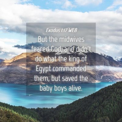 Picture 04 - Exodus 1:17 WEB - But the midwives feared God, and didn't do what - Bible Verse Picture