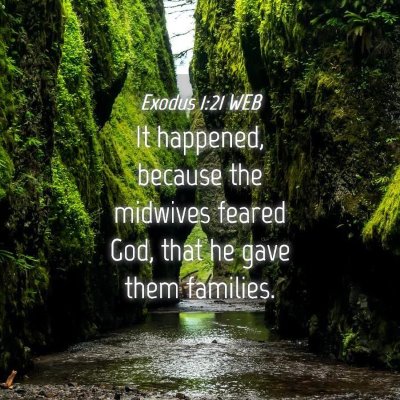 Picture 04 - Exodus 1:21 WEB - It happened, because the midwives feared God, - Bible Verse Picture
