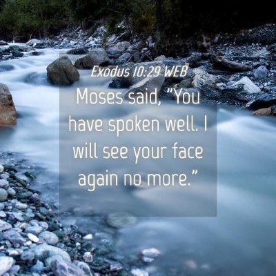 Picture 04 - Exodus 10:29 WEB - Moses said, 