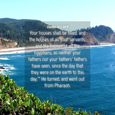 Picture 04 - Exodus 10:6 WEB - Your houses shall be filled, and the houses of - Bible Verse Picture