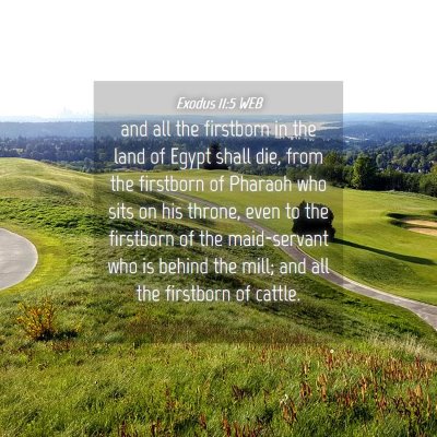 Picture 04 - Exodus 11:5 WEB - and all the firstborn in the land of Egypt shall - Bible Verse Picture