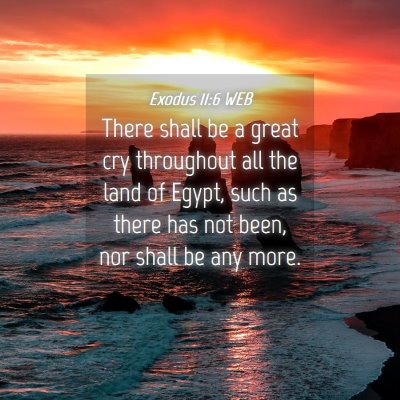Picture 04 - Exodus 11:6 WEB - There shall be a great cry throughout all the - Bible Verse Picture