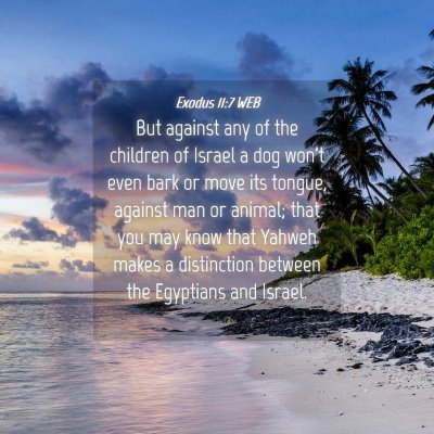 Picture 04 - Exodus 11:7 WEB - But against any of the children of Israel a dog - Bible Verse Picture