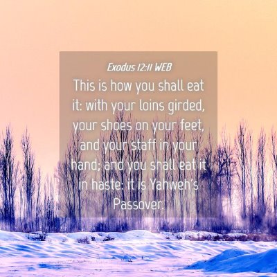 Picture 04 - Exodus 12:11 WEB - This is how you shall eat it: with your loins - Bible Verse Picture