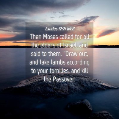 Picture 04 - Exodus 12:21 WEB - Then Moses called for all the elders of Israel, - Bible Verse Picture