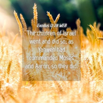 Picture 04 - Exodus 12:28 WEB - The children of Israel went and did so; as Yahweh - Bible Verse Picture