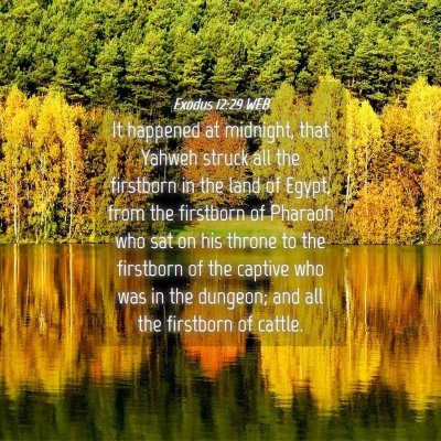 Picture 04 - Exodus 12:29 WEB - It happened at midnight, that Yahweh struck all - Bible Verse Picture