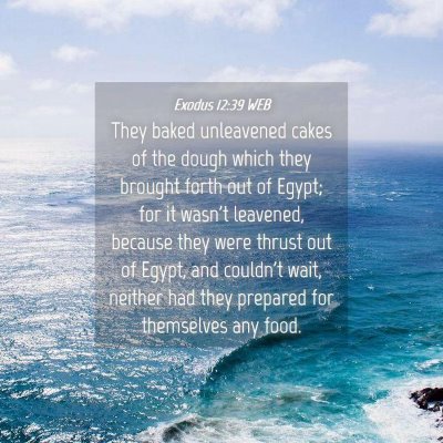 Picture 04 - Exodus 12:39 WEB - They baked unleavened cakes of the dough which - Bible Verse Picture