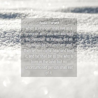 Picture 04 - Exodus 12:48 WEB - When a stranger shall live as a foreigner with - Bible Verse Picture