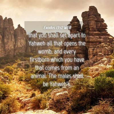 Picture 04 - Exodus 13:12 WEB - that you shall set apart to Yahweh all that opens - Bible Verse Picture