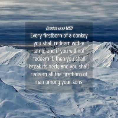 Picture 04 - Exodus 13:13 WEB - Every firstborn of a donkey you shall redeem with - Bible Verse Picture
