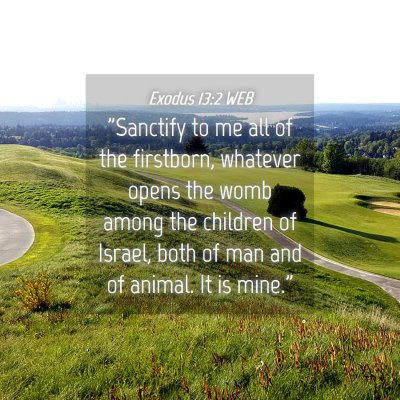Picture 04 - Exodus 13:2 WEB - 