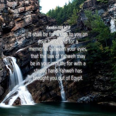 Picture 04 - Exodus 13:9 WEB - It shall be for a sign to you on your hand, and - Bible Verse Picture