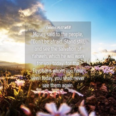 Picture 04 - Exodus 14:13 WEB - Moses said to the people, 