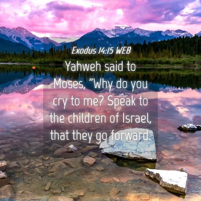 Picture 04 - Exodus 14:15 WEB - Yahweh said to Moses, 