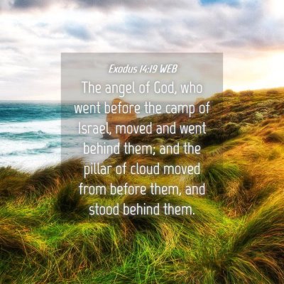 Picture 04 - Exodus 14:19 WEB - The angel of God, who went before the camp of - Bible Verse Picture