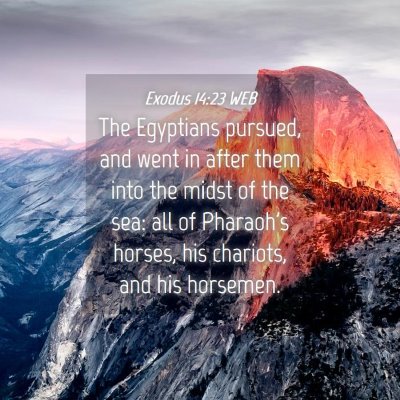 Picture 04 - Exodus 14:23 WEB - The Egyptians pursued, and went in after them - Bible Verse Picture