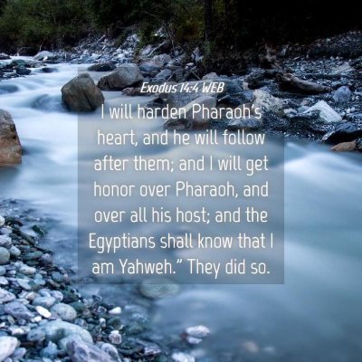 Picture 04 - Exodus 14:4 WEB - I will harden Pharaoh's heart, and he will follow - Bible Verse Picture