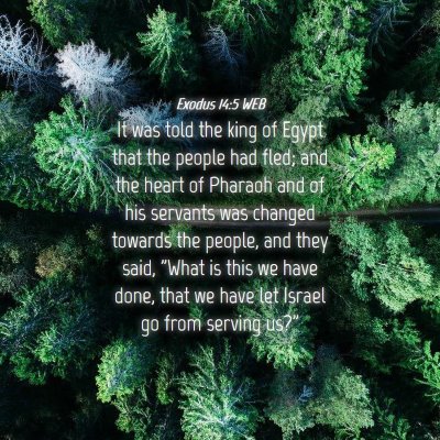 Picture 04 - Exodus 14:5 WEB - It was told the king of Egypt that the people had - Bible Verse Picture