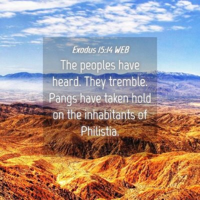 Picture 04 - Exodus 15:14 WEB - The peoples have heard. They tremble. Pangs have - Bible Verse Picture