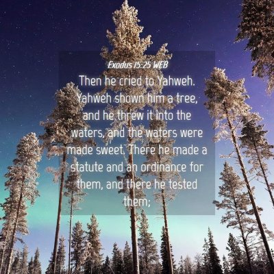 Picture 04 - Exodus 15:25 WEB - Then he cried to Yahweh. Yahweh shown him a tree, - Bible Verse Picture