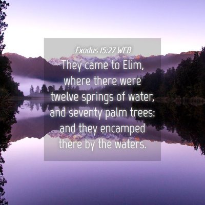 Picture 04 - Exodus 15:27 WEB - They came to Elim, where there were twelve - Bible Verse Picture