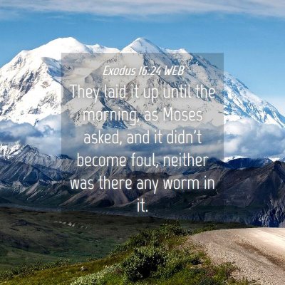 Picture 04 - Exodus 16:24 WEB - They laid it up until the morning, as Moses - Bible Verse Picture