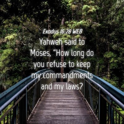 Picture 04 - Exodus 16:28 WEB - Yahweh said to Moses, 