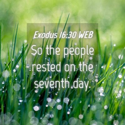 Picture 04 - Exodus 16:30 WEB - So the people rested on the seventh - Bible Verse Picture