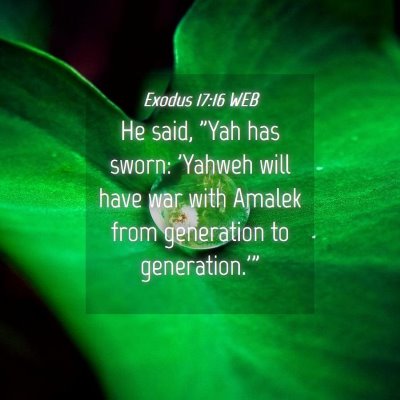 Picture 04 - Exodus 17:16 WEB - He said, 