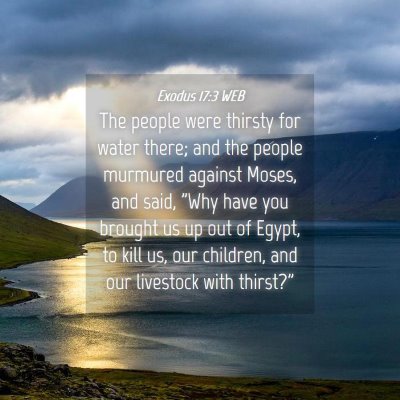Picture 04 - Exodus 17:3 WEB - The people were thirsty for water there; and the - Bible Verse Picture
