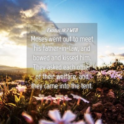 Picture 04 - Exodus 18:7 WEB - Moses went out to meet his father-in-law, and - Bible Verse Picture