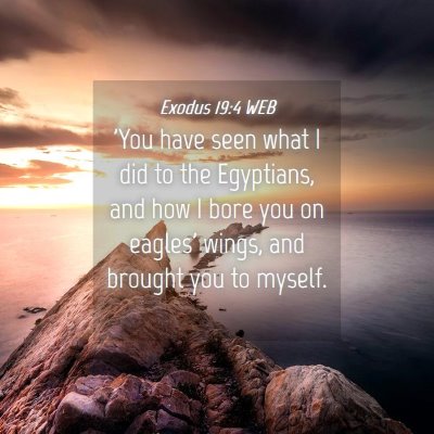 Picture 04 - Exodus 19:4 WEB - 'You have seen what I did to the Egyptians, and - Bible Verse Picture