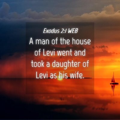 Picture 04 - Exodus 2:1 WEB - A man of the house of Levi went and took a - Bible Verse Picture