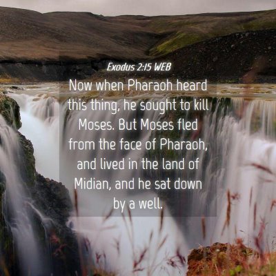 Picture 04 - Exodus 2:15 WEB - Now when Pharaoh heard this thing, he sought to - Bible Verse Picture