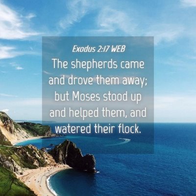 Picture 04 - Exodus 2:17 WEB - The shepherds came and drove them away; but Moses - Bible Verse Picture