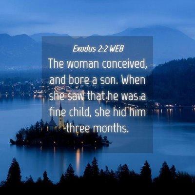 Picture 04 - Exodus 2:2 WEB - The woman conceived, and bore a son. When she saw - Bible Verse Picture