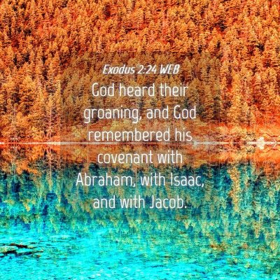 Picture 04 - Exodus 2:24 WEB - God heard their groaning, and God remembered his - Bible Verse Picture