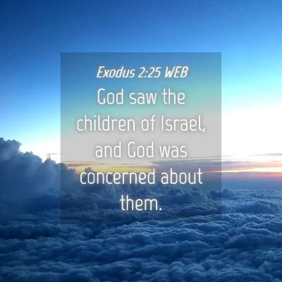 Picture 04 - Exodus 2:25 WEB - God saw the children of Israel, and God was - Bible Verse Picture