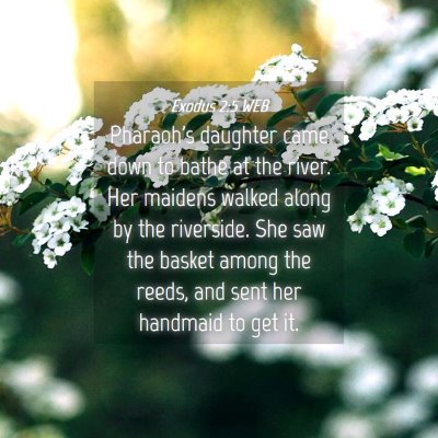 Picture 04 - Exodus 2:5 WEB - Pharaoh's daughter came down to bathe at the - Bible Verse Picture
