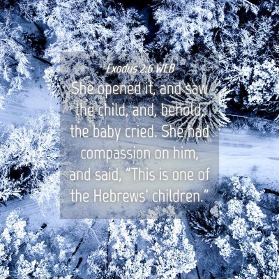 Picture 04 - Exodus 2:6 WEB - She opened it, and saw the child, and, behold, - Bible Verse Picture
