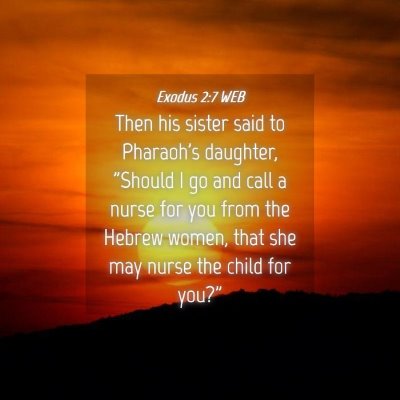 Picture 04 - Exodus 2:7 WEB - Then his sister said to Pharaoh's daughter, - Bible Verse Picture
