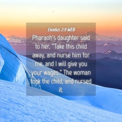 Picture 04 - Exodus 2:9 WEB - Pharaoh's daughter said to her, 