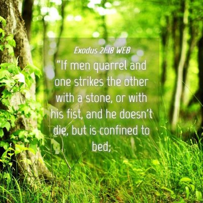 Picture 04 - Exodus 21:18 WEB - 